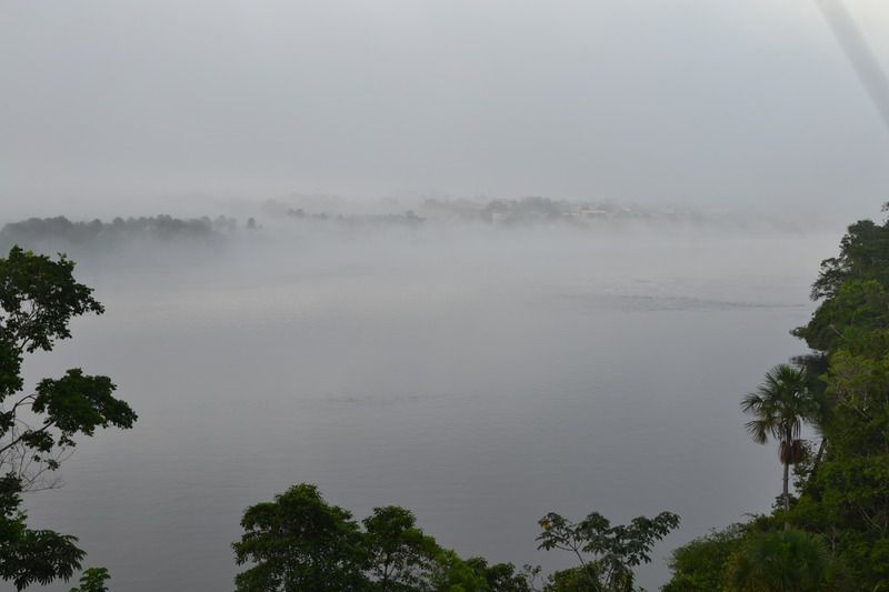 DSC_0113.jpg
