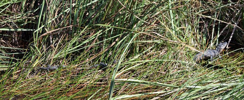 DSC_0134_4.jpg
