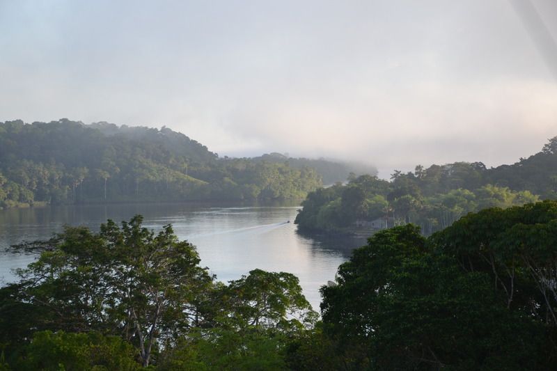DSC_0157_1.jpg