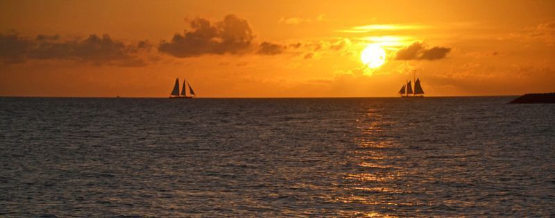 DSC_0369_1.jpg